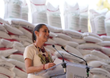 Presidenta Claudia Sheinbaum: en Marzo arranca programa Cosechando Soberanía en Michoacán
