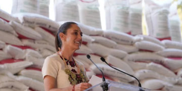 Presidenta Claudia Sheinbaum: en Marzo arranca programa Cosechando Soberanía en Michoacán