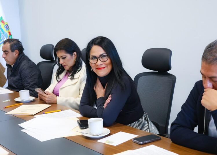 Piden garantizar seguridad en municipios donde habrá elecciones extraordinarias