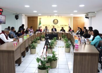 09 de Marzo, fecha límite para registrarse como observador(a) en las elecciones locales extraordinarias