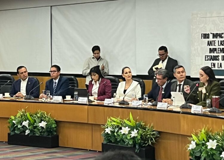Plan México, gran acierto para proyectar al país con fortaleza: Eduardo Castillo