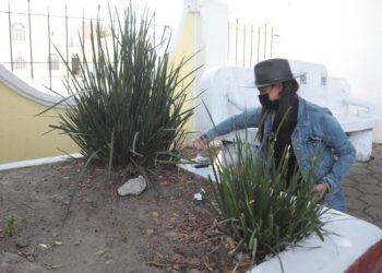 Ayuntamiento impulsa faena de conservación en parque principal de San Felipe Hueyotlipan