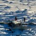 Al menos 3 muertos tras localizar los restos del avión que desapareció en Alaska el jueves