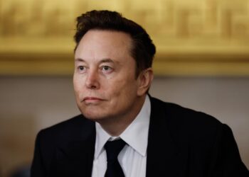 Juez federal bloquea el acceso del departamento de Musk al sistema de pagos del Tesoro