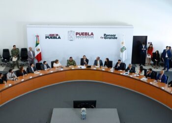 Empieza primera fase de desarrollo de semiconductores