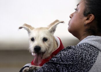 Promueven cultura de cuidado contra el maltrato animal