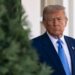 Trump busca acuerdo para Ucrania