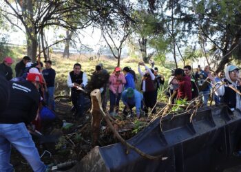 Sedif realiza Faena Dominical en 28 municipios