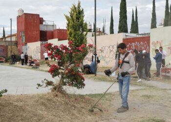 Programa de Mantenimiento ha atendido 12 accesos a Puebla
