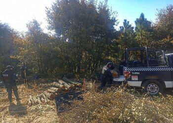 Primer decomiso de Guardia y Policía Forestal en coordinación con Tlaxcala