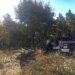 Primer decomiso de Guardia y Policía Forestal en coordinación con Tlaxcala
