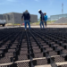 Cemex revoluciona infraestructura urbana al norte de México con Paviflex