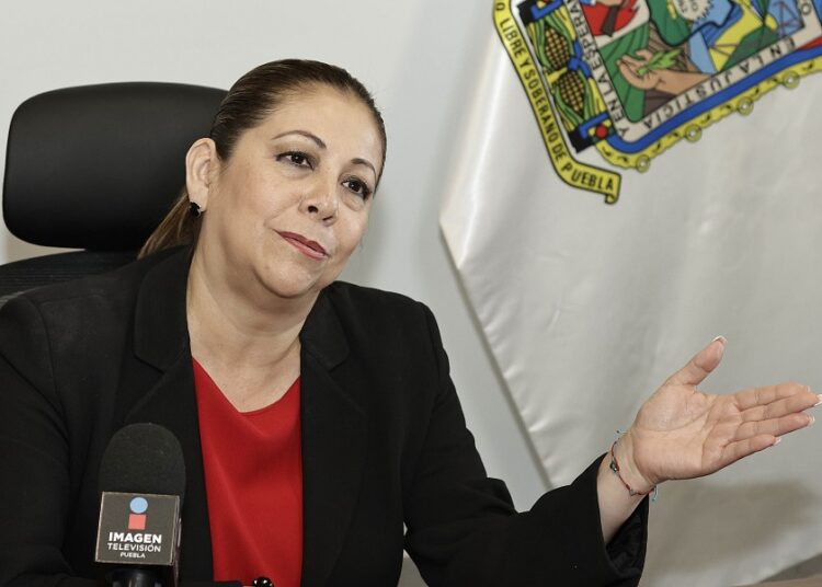 Congreso trabaja reforma para aumentar castigo por maltrato animal