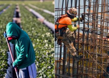 La fuerza migrante mexicana en Estados Unidos