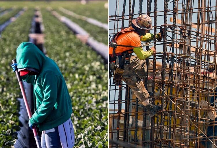 La fuerza migrante mexicana en Estados Unidos
