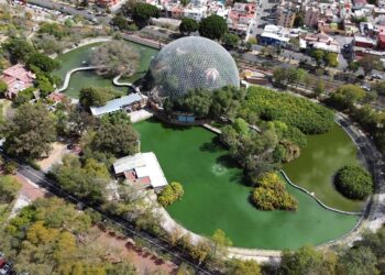 Ayuntamiento convertirá espacios en pulmones verdes