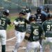 Pericos arranca venta para serie inaugural contra Piratas de Campeche