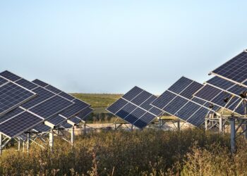 Producción de paneles para granjas de energía empezará en este semestre