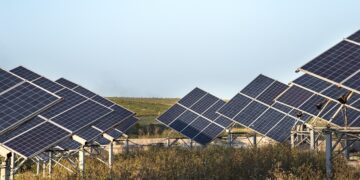 Producción de paneles para granjas de energía empezará en este semestre