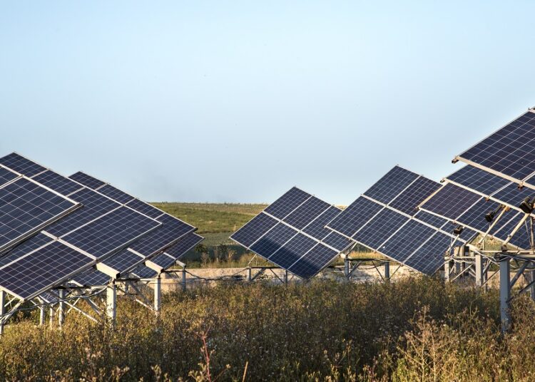 Producción de paneles para granjas de energía empezará en este semestre