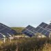 Producción de paneles para granjas de energía empezará en este semestre