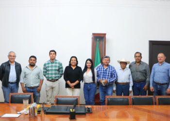 SDR impulsa esquemas de apoyo en sorgo