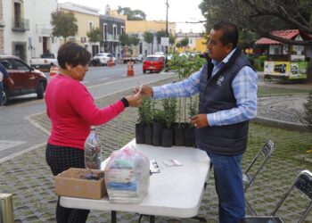 Últimos días de ‘Verde Navidad’ y ‘Reciclatón’ en San Pedro Cholula