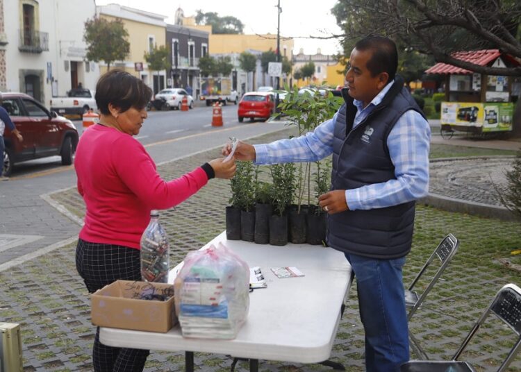 Últimos días de ‘Verde Navidad’ y ‘Reciclatón’ en San Pedro Cholula