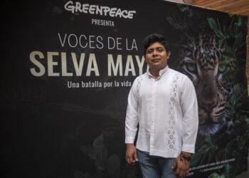 ‘Voces de la Selva Maya’, el grito “desesperado” al Sureste México