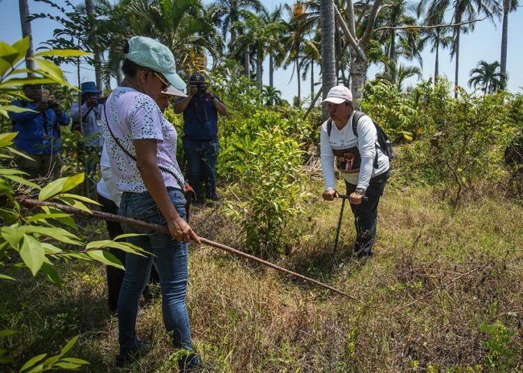 Madres buscadoras exigen acción del Estado ante crisis de desaparecidos