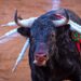 PVEM irá por la prohibición completa de corridas de toros y las peleas de gallos