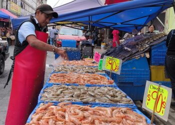 Ayuntamiento realizará operativos en la zona de venta de pescados y mariscos