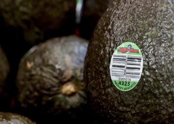 Aguacates, cerveza y autos, clave en relación México-EE.UU.