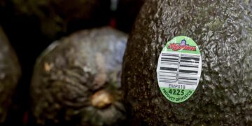 Aguacates, cerveza y autos, clave en relación México-EE.UU.