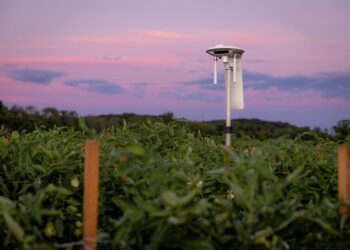 Latinoamérica apuesta por innovación para preservar el agua