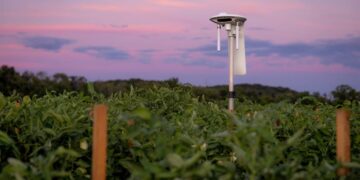 Latinoamérica apuesta por innovación para preservar el agua