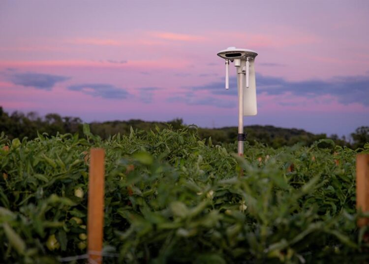 Latinoamérica apuesta por innovación para preservar el agua