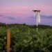 Latinoamérica apuesta por innovación para preservar el agua