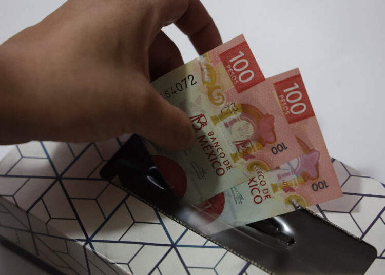 El 67.3% prevé seguir trabajando en vejez para cubrir sus gatos