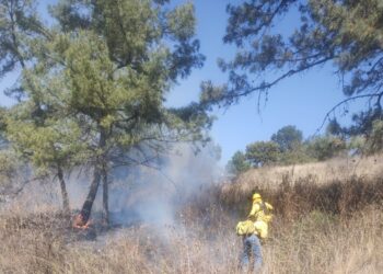 Todo rigor contra quienes provoquen incendios