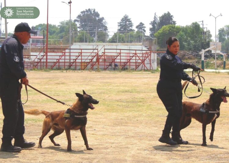 Se realiza primera Macro Jornada de Esterilización en Texmelucan