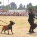 Se realiza primera Macro Jornada de Esterilización en Texmelucan