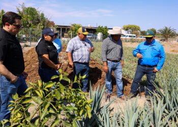Intercambian mezcaleros de Tamaulipas y Puebla experiencias