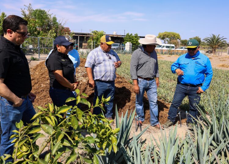 Intercambian mezcaleros de Tamaulipas y Puebla experiencias
