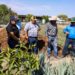 Intercambian mezcaleros de Tamaulipas y Puebla experiencias