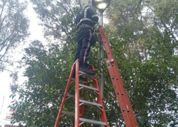 Realiza Gobierno de la Ciudad labores de mantenimiento y limpieza en colonias de la ciudad