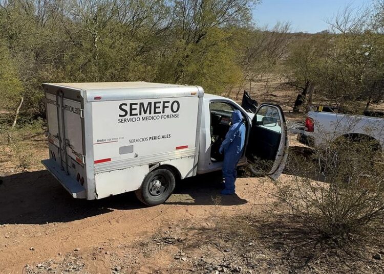 Autoridades hallan 9 cuerpos desmembrados en los límites de Puebla y Oaxaca