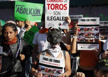 Taurinos rechazan ley de corridas «sin sangre» en CDMX
