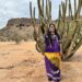 Mujeres indígenas desafían machismo y discriminación en noroeste de México