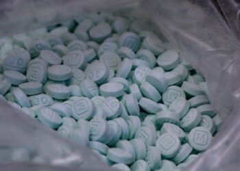 ONU alerta del aumento del consumo de fentanilo en México